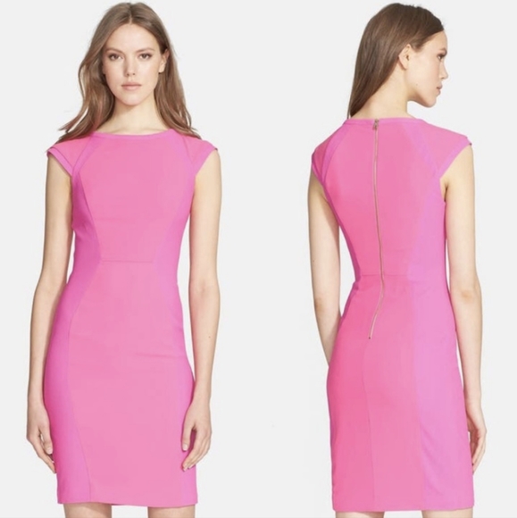 Ted Baker Dresses & Skirts - Ted Baker Jineen Sheath Dress